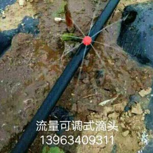 滴头